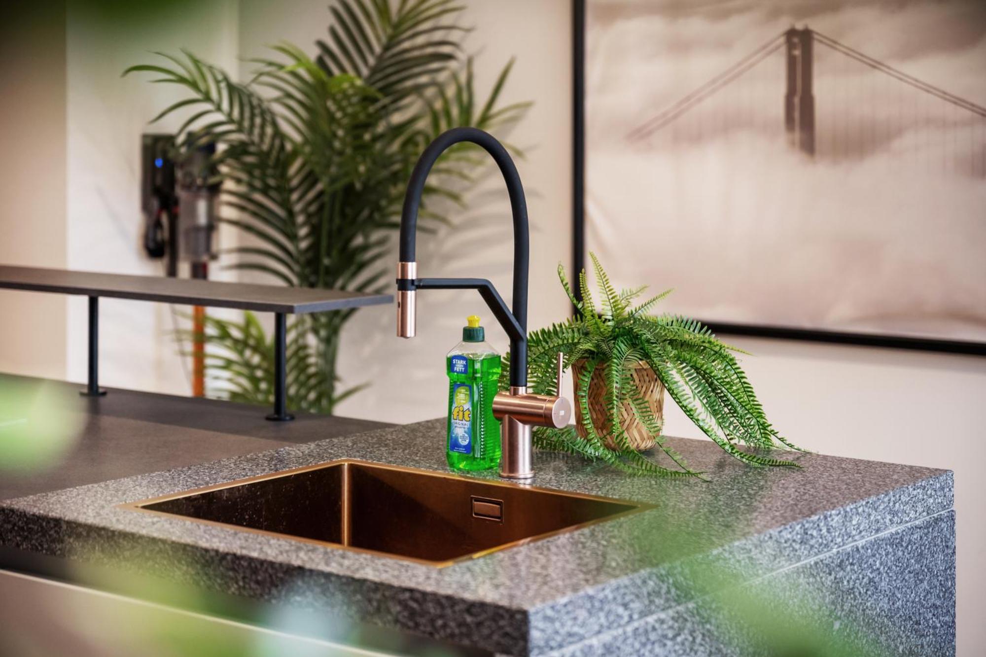 Edler Wohnraum Schlossteich-Suite 3 Sz Mit Zwei Balkonen, Kaffeevollautomat, Kamin, Klima, Lift & Zwei Parkplaetzen Chemnitz Exteriör bild